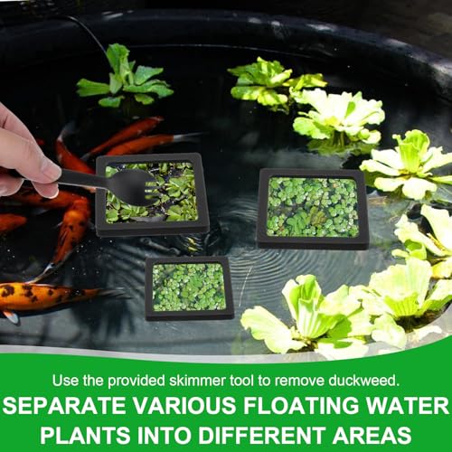 6PCS Aquarium Floating Plant Corral, Square Black EVA Fish Feeding Ring Set, Fish Tank Accessories for Mini Betta Tank, Floating Plants Holder|Feeder|Corral - style: 6 Square