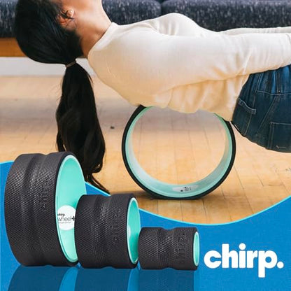Chirp Wheel+ Foam Roller 3-Pack, Back & Neck Pain Relief, Mint | Back Roller Wheel Set, Foam Roller for Back Pain, Spine Decompression, 4/6/10 in, Neck and Muscle Recovery - size: 3 Pack