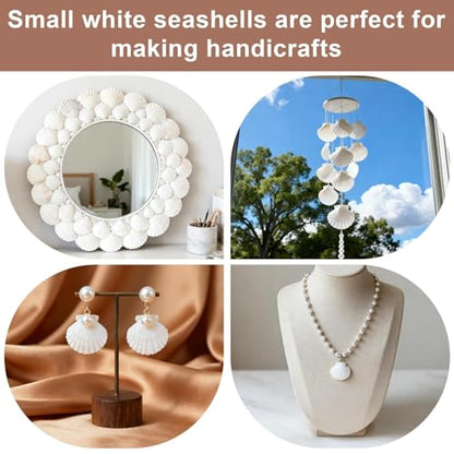 MAQIHAN Natural White Seashells for Crafts - Small Clam Shells 0.8-1.2 in | Tiny Natural Seashells for DIY Crafting, Vase Filler, Beach Wedding, Coastal Decor, Resin Art, Party Tables & Home Displays - style: White
