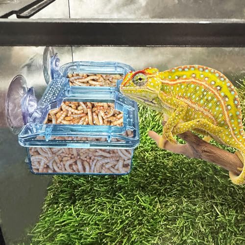 Hamiledyi Transparent Reptile Feeder with Suction Cup Separated Double Compartments Chameleon Bowl Gecko Live Worm Feeder Anti-Escape Reptile Supplies for Lizard Bearded Dragon (Blue, 2 Pcs) - color: Blue