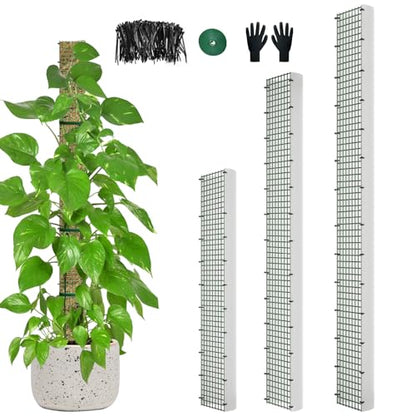 60"/40"/24" Metal Moss Pole, D Shape Sphagnum Moss Pole, Moss Poles for Climbing Plants, Monstera, Indoor Climbing Plants (1 Each of 60" 40" 24") - style: 1 Each of 60" 40" 24"