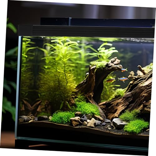 POPETPOP 1set Edge Protector for Fish Aquarium Trim Strip Prevents Spills and Easy Access for Feeding and Care