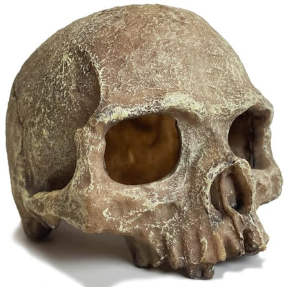 Aquarium Decoration for Fish Tank Skull Head Rock Cave-Small | Fish Tank Ornament Decorative Hideouts Landscape Aquarium Decor Reptile House Cave Aquarium Decoration