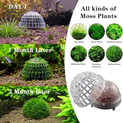 3 PCS Aquarium Moss Ball Holder Professional Aquarium Plant Holder Plastic Moss Ball Fish Tank Plant Holder with Filter Stone for Fish Tank Accessories