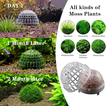 3 PCS Aquarium Moss Ball Holder Professional Aquarium Plant Holder Plastic Moss Ball Fish Tank Plant Holder with Filter Stone for Fish Tank Accessories