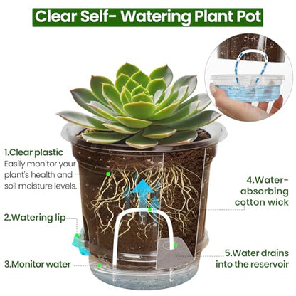 Bluepro Self Watering Pots for Indoor Plants, 4/5/6.5 Inch, 18-Pack | Clear Plastic, 6 Each of Three Sizes, Reservoir Trays and Wicks, Up to 7-Day Water Supply, Root and Water-Level Visibility - size: 4/5/6.5 Inch-18Pcs