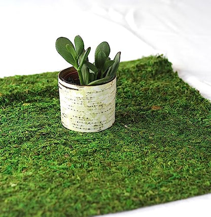 Preserved Moss Runner and Mats (18in x 16in mat) - color: 18in X 16in Mat