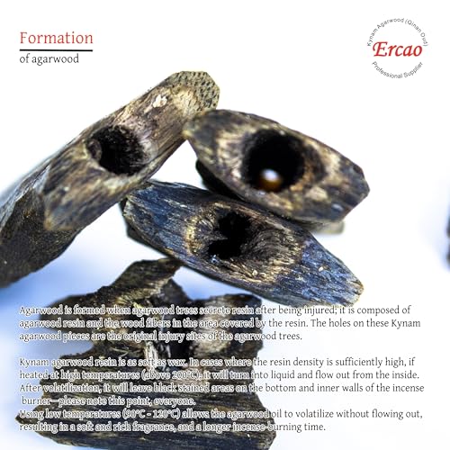 Chinese Natura Kynam Agarwood （Qinan Oud） - Boasts a Distinctly Unique Aroma, Ideal for Home Incense, Meditation & More | Sustainable Harvesting (20g Experience Pack - High Grade - Block) - color: 20g Experience Pack - High Grade - Block