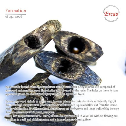 Chinese Natura Kynam Agarwood （Qinan Oud） - Boasts a Distinctly Unique Aroma, Ideal for Home Incense, Meditation & More | Sustainable Harvesting (20g Experience Pack - High Grade - Block) - color: 20g Experience Pack - High Grade - Block