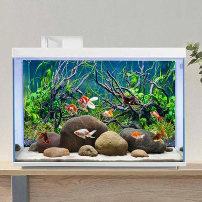AWERT 36x24 inches Tropical Fish Tank Background River Bed & Lake Aquatic Plant Undersea Tree Branch Aquarium Background Vinyl - size: 36x24in/90x60cm