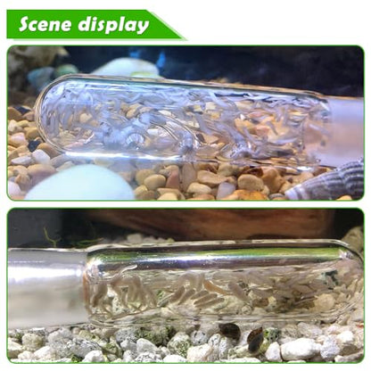 2 Pack Clear Glass Planaria Trap Catch Trap Aquarium Cleaning Supply for Dwarf Shrimp Cherry Shrimp (3 Holes)
