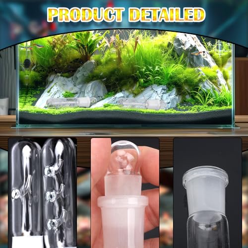 DQITJ 2 Pack Planaria Catch Trap Aquarium Clear Glass Leech Flatworm Bristle Worm Trap Tube Catcher for Red Cherry Shrimp Dwarf Shrimp Tank (1 Holes+3 Holes)