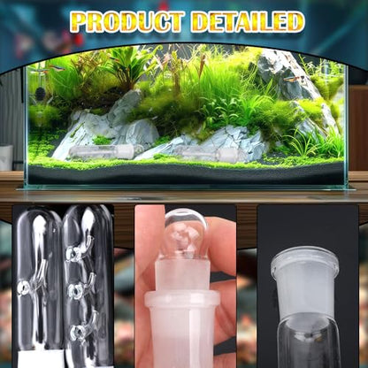 DQITJ 2 Pack Planaria Catch Trap Aquarium Clear Glass Leech Flatworm Bristle Worm Trap Tube Catcher for Red Cherry Shrimp Dwarf Shrimp Tank (1 Holes+3 Holes)