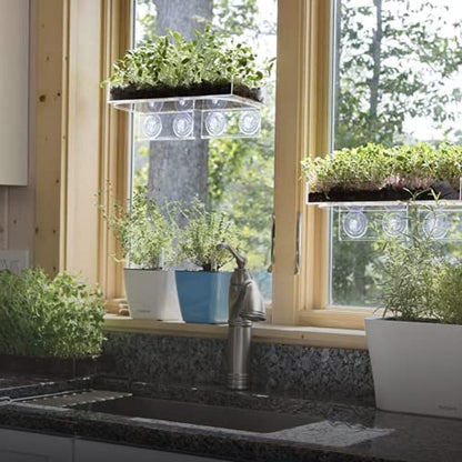 Window Garden Veg Ledge Suction Cup Window Shelf – Create an Indoor Garden, Hold Your Planter Pots, Seed Starter, Figurines on Your Window. Grow Herbs, Microgreens, Succulents, Sleek (3 Pack) - size: 3 Medium (Original)