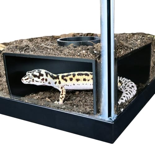 Reptile Corner Underground Cave Viewing Hide | Hognose Snake, Corn Snake & Leopard Gecko Hideout Reptile Habitat Tank Enrichment | Decor Decoration Accessories Supplies Toys Ornaments (Black) - color: Black