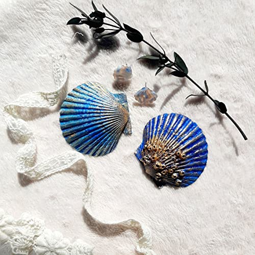 SEAJIAYI 10 PCS Large Scallop Shells 4-5 inch Natural White Scallop Shells from Sea Beach for DIY Craft Decor - size: XL-LARGE