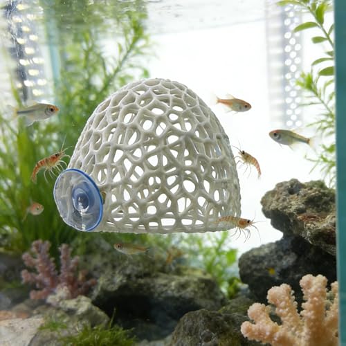 Shrimp Cave with Suction Cup | Stable Resting Hiding Place for Cherry & Dwarf Shrimp, Guppy, Small Fish(white) - color: White