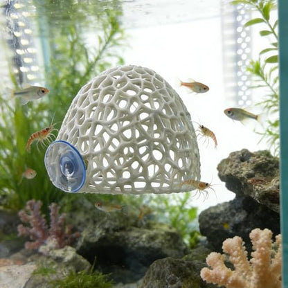 Shrimp Cave with Suction Cup | Stable Resting Hiding Place for Cherry & Dwarf Shrimp, Guppy, Small Fish(white) - color: White