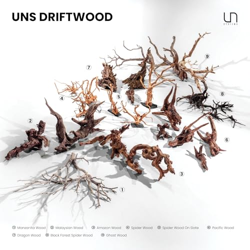 Ultum Nature Systems Driftwood - Amazon Drift Wood for Fish Tank, Planted Tank, Terriarium, Paludarium - Versatile Natural Driftwood Decor, Events Wood Centerpiece - Amazon Wood, Medium (9-16") - size: 9-16" 1-Pack
