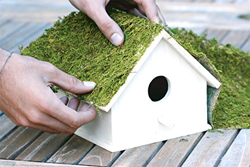 SuperMoss (22420) InstantGreen Moss Mat, Fresh Green, 18 x 16"" - color: Fresh Green, size: 18" x 16"