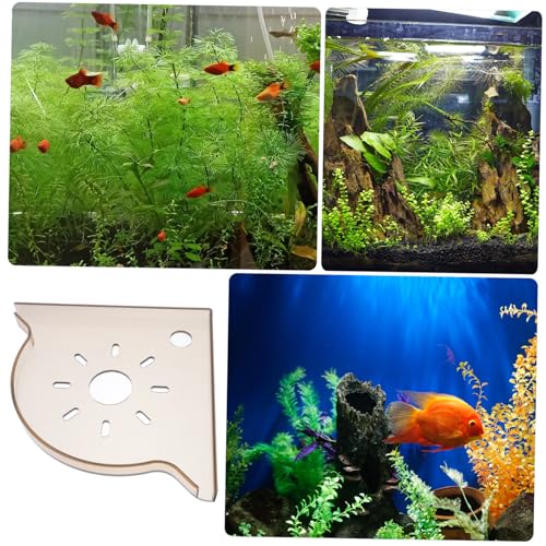 Fish Tank Decor Triangle Shelf for Storage Corner Rack Stand Easy Access for Aquarium Supplies