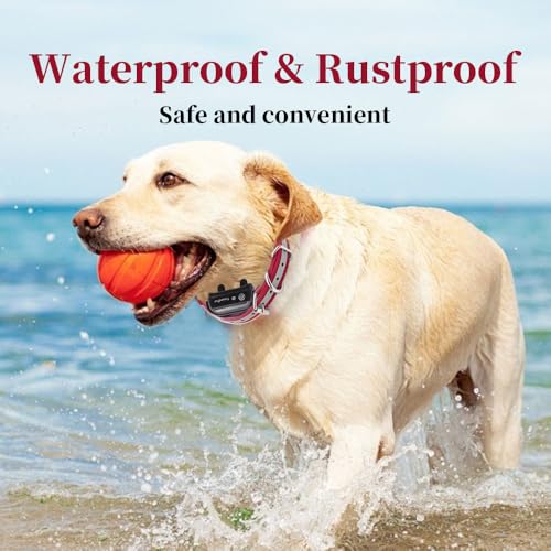 Waterproof TPU Replacement Strap for Dog Training Collar, 27.5 in - color: Red Reflect