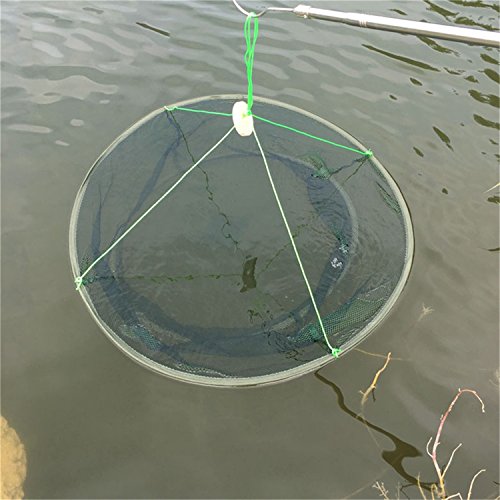 Foldable Fish Catching Net, Hand Cast Cage for Shrimp and Crab - size: Top Dia:39.37" Bottom Dia:31.5"