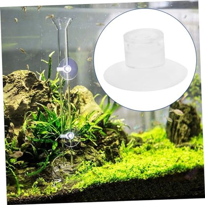 Toddmomy 50pcs Aquarium Feeder Cups Tank Suckers for Secure Feeding and Design for Fish Feeder Transparent Aesthetic for Aquatic Environments - size: 3.00X3.00X1.50CM