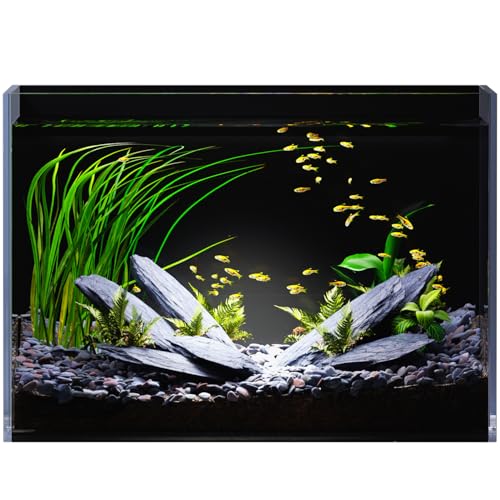 5 Gallon Glass Fish Tank Rimless with Black Background Rectangular Tank | Ultra Clear Low-iron Glass, 5 mm Thick, 92% Light Transmission, for Betta Shrimp Guppy Snail, Included Leveling Mat - size: 5 gallon tank only