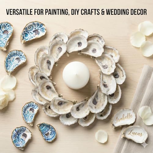 20PCS 3"-4" Medium Oyster Shells for Crafts, Concave Shells, Hand-Selected, Cleaned & Odorless Craft Oyster Shells for Coastal Art Projects, Painting, DIY, Wedding Decor, Decoupage - size: Medium 3"-4" 20pcs