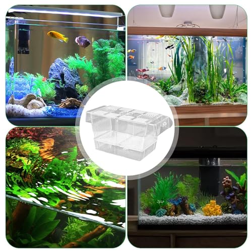 1/2 Fish Acclimation Box - Acrylic Hatchery Incubator Tank, Fish Breeder Box with 2 Suction Cups | Easily Install Breeding Isolation Box, Floating Breeding Box for Baby Fishes Shrimp Betta Guppy - size: Large