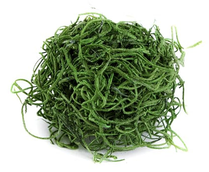 SuperMoss (26903) Preserved Spanish Moss – Decorative Moss for Crafts, Potted Plants, Fairy Gardens, Vase Filler, Floral Arrangements & Indoor/Outdoor Garden Projects, 120 cu in, Hunter