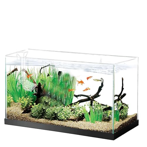 Aquarium Fish Shrimp Feeding Dish Set - Clear Feeder Tube and Dish With Cleaning Brush and Measuring Spoon for Shrimp - Prevents Food Scattering - Supplies for Small Fish - size: Small