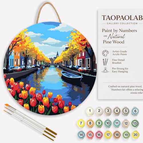 TAOPAOLAB City Landscape Paint by Numbers Kit for Adults on Wood Board – DIY Amsterdam Canal Wood Craft Painting Kit, 12 in Round, Acrylic Paint Set, Beginner-Friendly, Relaxing Home Decor Gift - color: FM10820