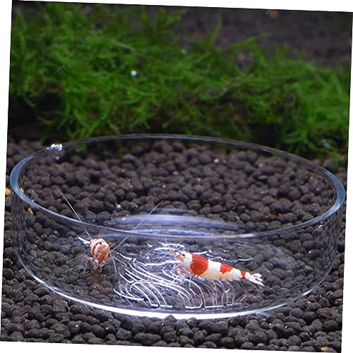 BESPORTBLE Shrimp Food Round Dishes Glass Feeder Bowl Fish Tank Feeder Multi-Purpose Ornamental Supplies