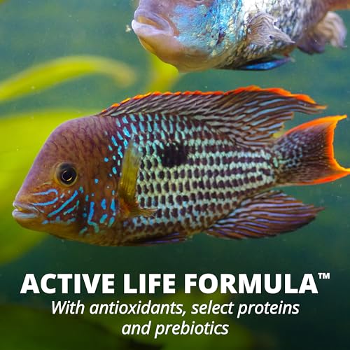 Tetra JumboMin Large Floating Sticks Fish Food for Monster Fish, 3.96 lbs | Daily Live Food Alternative For Large Aggressive Fish, Active Life Formula Supports Healthy Cells, Growth and Digestion - size: 3.96 Pound (Pack of 1)