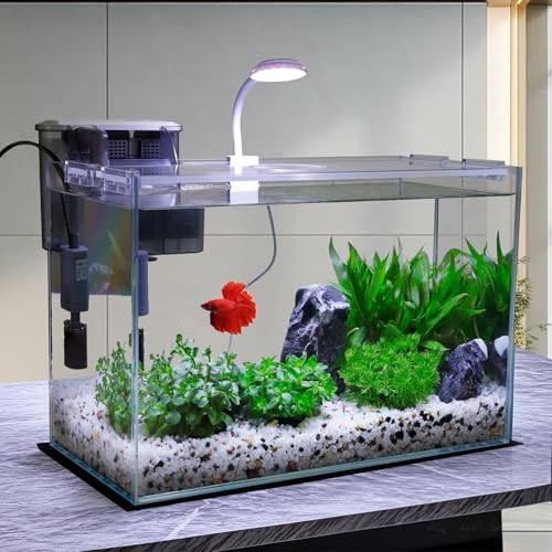 Vimvins 5 Gallon Glass Small Fish Tank with Filter Light and Lid, Betta Aquarium Starter Kits - size: 5 Gallon