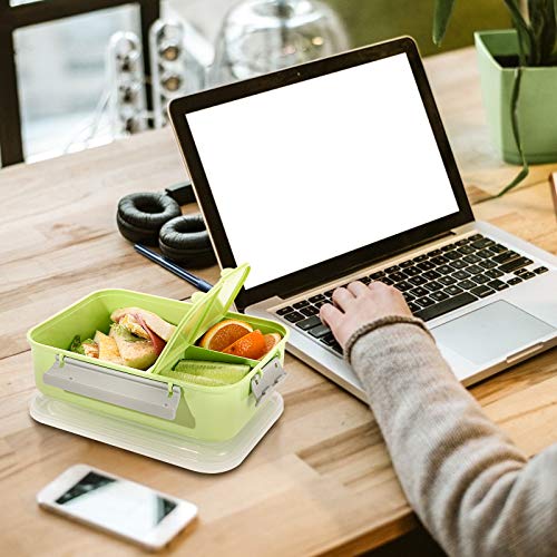 3 Pack Sandwich Container,Reusable Sandwich Containers for Lunch Boxes,Plastic Sandwich Box Tupperware for Kids Adults, Divided Salad Bento Box Food Meal Prep Container for School, Office,Travel, 40oz - color: Sandwich Container