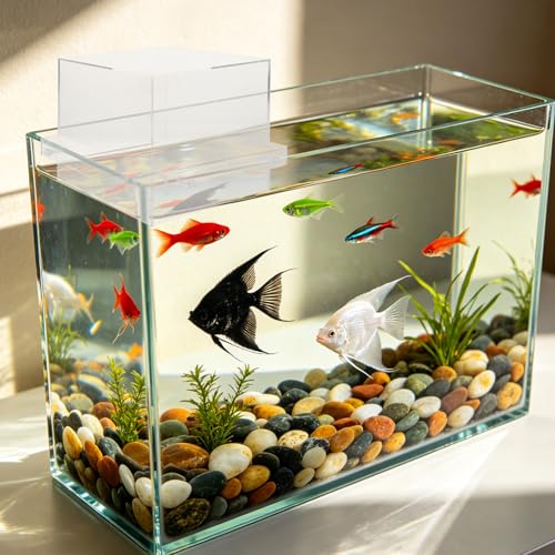 Fish Tank Elevator: Negative Pressure Tank for Fish Activity Area Increase, External Suspended Placement, Water Level Maintenance - size: 19.00X19.00X16.00CM