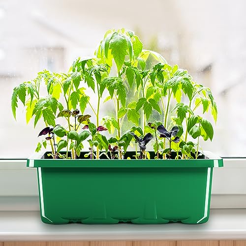 MIXC 10 Packs Seed Starter Tray Seed Starter Kit with Humidity Dome (120 Cells Total Tray) Seed Starting Trays Plant Starter Kit and Base Mini Greenhouse Germination Kit for Seeds Growing Starting - color: Green, size: 12 Cell
