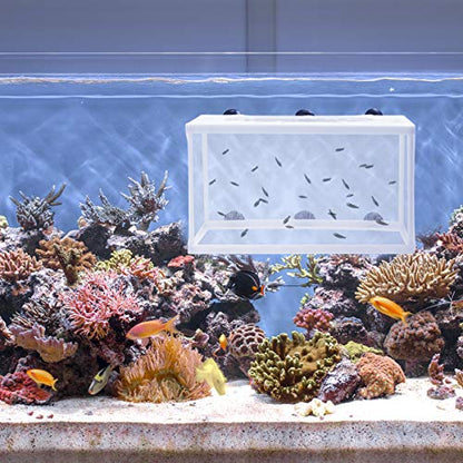 HANABASS 2pcs Fish Net Breeder Box Cups for Aquarium Isolation Hatchery for Fry Increases Survival Rate Fish Tanks