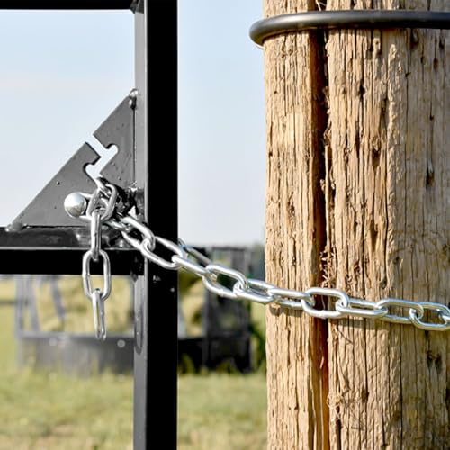 Heavy Duty Stainless Steel Chain, Hanging Safety Link Chain Fitness Chain Weight Lifting Chains with Carabiners for Home Gym Hammock Swing Hanging Chair Punching Bags - color: 1 Stainless Steel Chain + 2 Carabiners