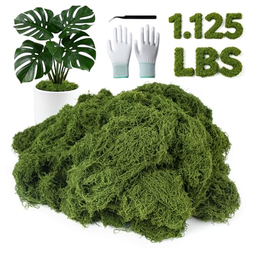 MGLIFEUL 1.125LB Fake Green Moss for Plants Indoor with Gloves and Tweezers | Artificial Faux Moss for Craft DIY Table Centerpieces Living Walls Fairy Garden Indoor Outdoor Home Decorating Model Making - color: Grass Green, size: 1.125 LBS