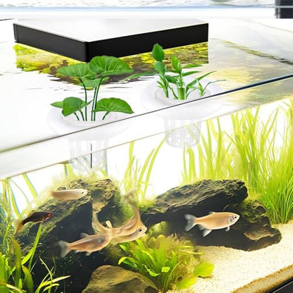 4 PCS Floating Aquarium Plant Holder, Plastic Fish Tank Basket with Foam Rings, Aquatic Pot for Fish Tank Aquaponic Plant Cultivation and Aquascape Decorations