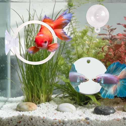 Betta Fish Toys, 2 PCS Fish Exercise Ring and Nitrifying Balls Set, Betta Mirror Toy Set, Feeding Ring with Suction Cup, Fishing Tank Accessories for Gifts (White) - color: White