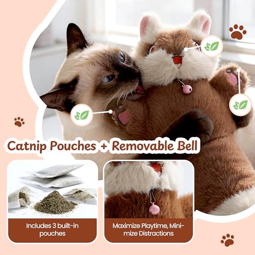 Cat Wrestling Glove, 22 inch Cat Puppet Wrestler with 3 Catnip Pouches & 3 Layer Resistant Protection, Interactive Cat Toy with Removable Bell for Boredom Relief & Mental Stimulation, Raccoon - color: Raccoon