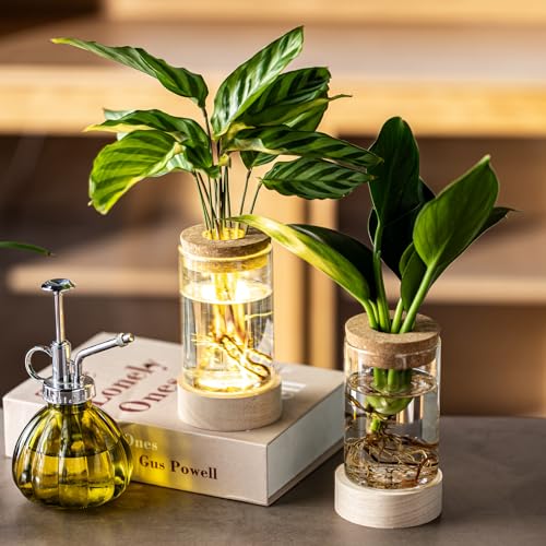 Glass Plant Propagation Stations, Propagation Vases for Plants with Ambient Light Base, Hydroponic Vase for Home & Office Windowsill Tabletop Decoration Desktop Vases for Living Room, Bedroom (2)