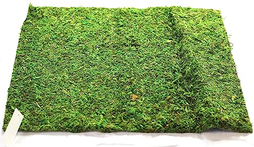 Preserved Moss Runner and Mats (18in x 16in mat) - color: 18in X 16in Mat