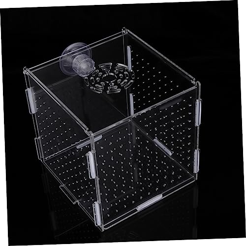 LIOOBO Modern Fish Tank Isolation Box Acrylic Fish Breeding Tank for Betta Guppy Suction Cups and Divider