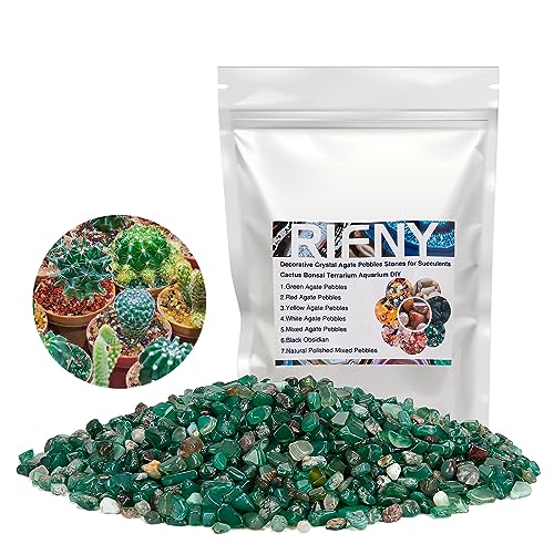 RIFNY Decorative Polished Rocks, 0.3" Gravel Rocks Crushed Crystal for Plant Flower Pots Succulents Cactus Bamboo Plant Vase Filler Aquarium Fish Tank Decorations and DIY Craft (1.5 LB, Green) | for Plant Flower Pots Succulents Cactus Plant Vase Filler Aq